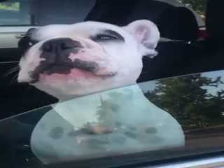 Когда в прошлой жизни был певцом