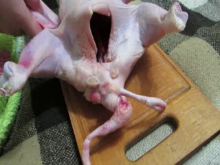 Курица из Салтовского мясокомбината (г.Харьков)