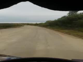 Нефть по обочинам