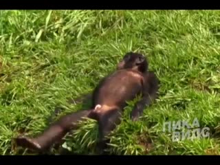 О семейной жизни