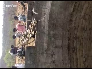 Жители деревни соорудили лестницу, чтобы спасти упавшего в колодец леопарда