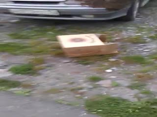 Возвращаешься такой с покупками...