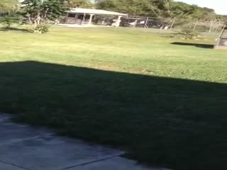 После долгой разлуки