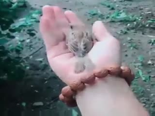 Не бросай меня, друг!