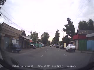 Против шерсти