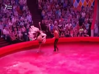 Опасный номер: в казанском цирке страус кинулся на зрителей