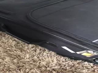 А вы тоже свой чемодан ещё замыкаете?