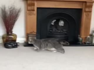 Пора на диету