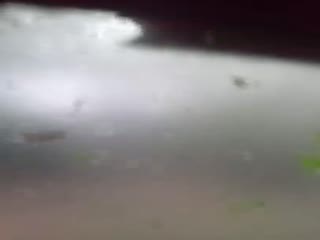 «Лучше бы я ее дома оставил!»