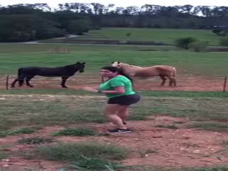 Электрическое ограждение