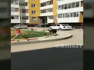 В Якутске боевой кот охраняет детей от собак