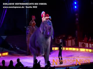В германском цирке слониха свалилась в зрительские ряды