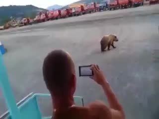 Потапыч решил зайти в гости к вахтовикам