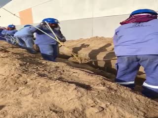 3 рабочих и 1 лопата