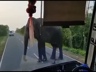 Дерзкое ограбление автобуса на трассе