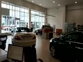 В московский автосалон ворвался олененок