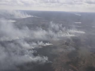 Шведские ВВС сбросили бомбу на лесной пожар