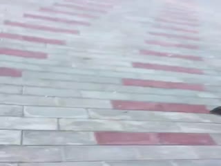 За девочку, над которой издевались подростки, вступилась только женщина-педагог