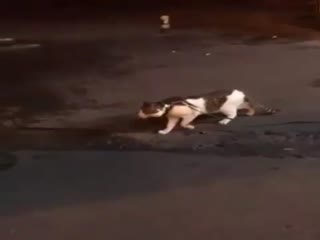 Пошли от греха подальше!