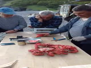 Крабовыжималка