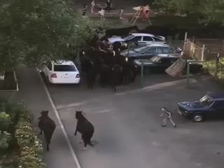 А вот это неожиданно