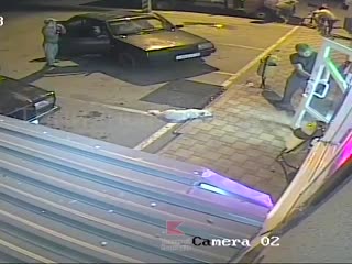 С собачкой, к счастью, все в порядке