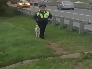 Два напарника