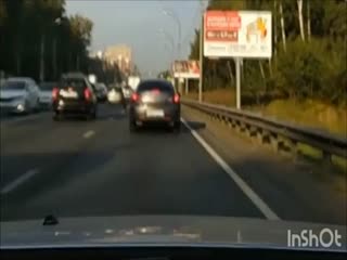 Лось vs хруст