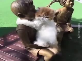 Когда совсем не хватает ласки