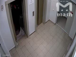 Майор обмазывает двери фирмы фекалиями