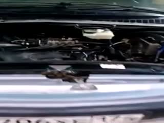 Изобретатель 80-го уровня!