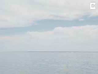 Эмоциональная встреча плывущих в лодке туристов с китом