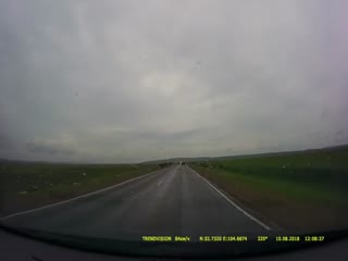 Сквозь стадо