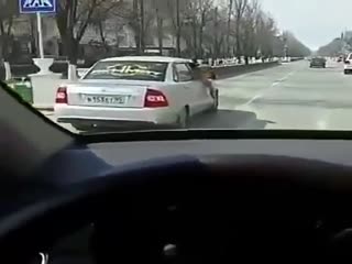 Лев в машине