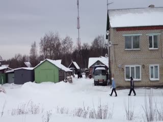 Кабанчик охотится на людей