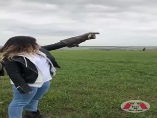 Кормление колибри