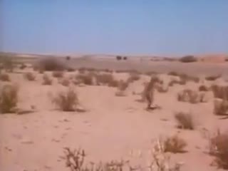 Люди против гепарда