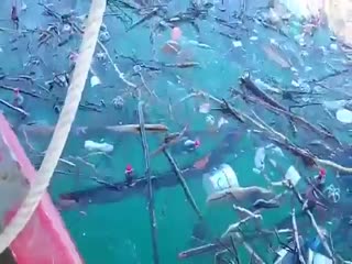 Моряки из Геленджика выловили необычные «дары моря» после наводнения в Сочи