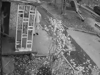 Пара жестоко избила девушку