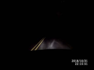 Олень чуть не был задавлен