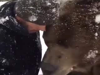 Медведь-гора