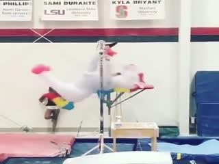 Зебра-акробат 