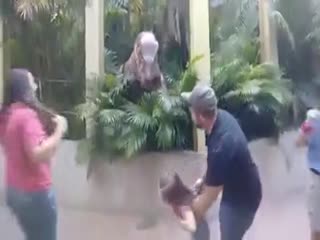 Да не бойся ты