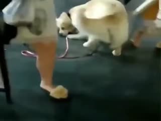 Почти идеальное преступление