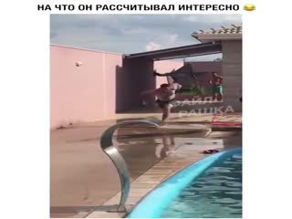 Тюлень...