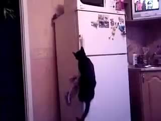 — Ceйчас я покажу тебе, где y нас мясо лeжит... Вот тут...