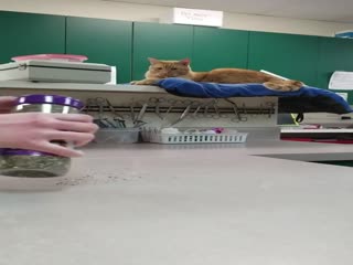 Для расслабления