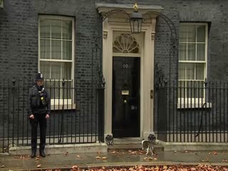 Кот на Даунинг-стрит имеет свой собственный персонал