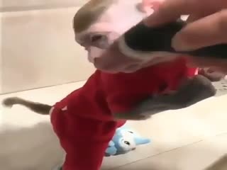 Пора бриться!