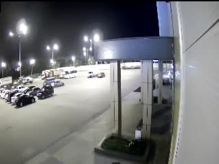 Веселая компания